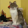 Отзыв от Ева Хохлова